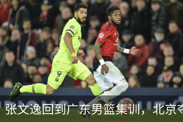 张文逸回到广东男篮集训，北京夺冠功勋确定退役，上海欲续约弗格